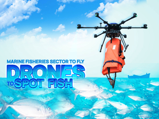 New Technology in Marine Fisheries; The drone will now find where the fish are in the sea