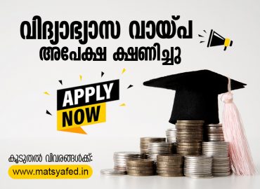 You can apply for an education loan.